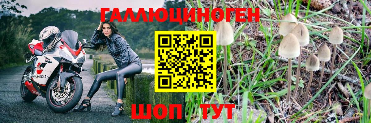 Галлюциногенные грибы прущие грибы Качканар